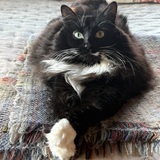 Entry image for Boots