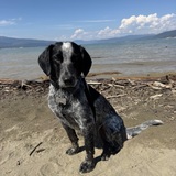 Entry image for Bingley 