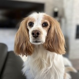 Entry image for Jenny