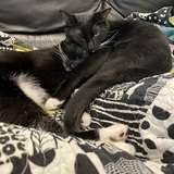 Entry image for Charlie & Oliver