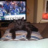 Entry image for Larry