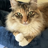 Entry image for Abby