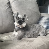 Entry image for Jake