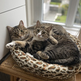 Entry image for Harry and Hazel