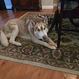 Entry image for Ranger