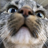 Entry image for Posty