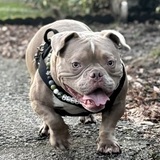 Entry image for Push Up