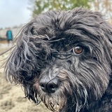 Entry image for Spirit