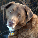 Entry image for JENNY