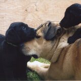 Entry image for Sam Q Stayed