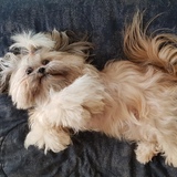 Entry image for Lucy