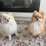 Entry image for Bobbi and Chowder