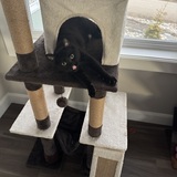 Entry image for Mutsu