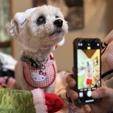 Entry image for Rosie