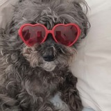 Entry image for Boethious