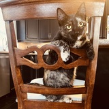 Entry image for Petra