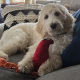 Entry image for Olaf