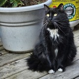 Entry image for Froth