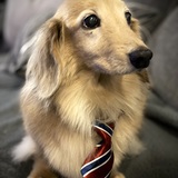 Entry image for Barney