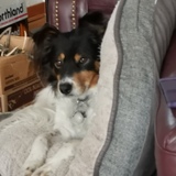 Entry image for Kane