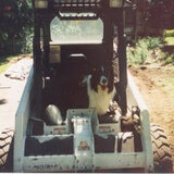 Entry image for Jazz