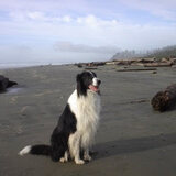 Entry image for Jazz