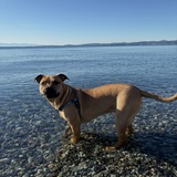 Entry image for Oslo