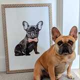 Entry image for Chloe