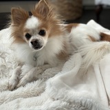 Entry image for Parker