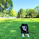 Entry image for Zeus