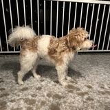 Entry image for Jack