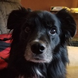 Entry image for Tacoma