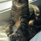 Entry image for Summer