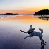 Entry image for Maggie 