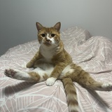 Entry image for Cleo