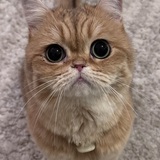 Entry image for Mui Mui 