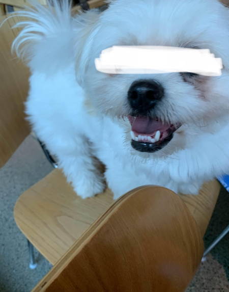 Entry image for Tofu*. Clicking this image will show a larger photo