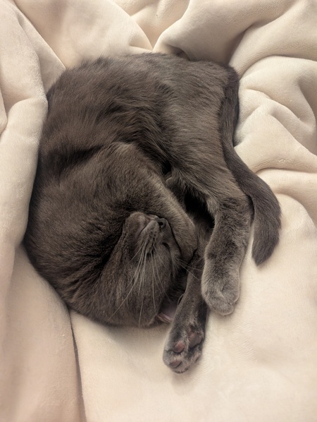 Entry image for Luna love. Clicking this image will show a larger photo