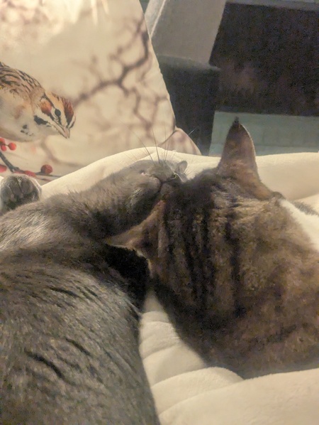 Entry image for L&P. Clicking this image will show a larger photo