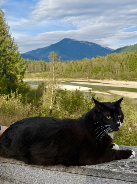 Entry image for Diablo. Clicking this image will show a larger photo