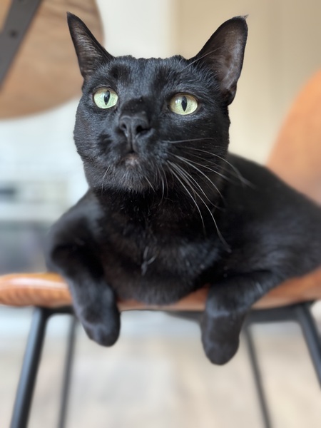 Entry image for Large Marge . Clicking this image will show a larger photo