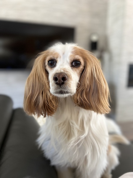 Entry image for Jenny. Clicking this image will show a larger photo