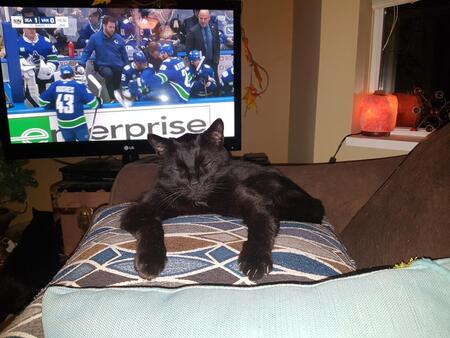 Entry image for Larry. Clicking this image will show a larger photo