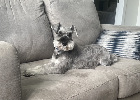 Entry image for Jake. Clicking this image will show a larger photo