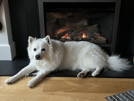 Entry image for Charlie. Clicking this image will show a larger photo