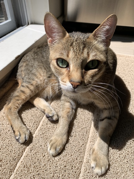 Entry image for Max. Clicking this image will show a larger photo