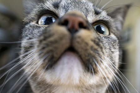 Entry image for Posty. Clicking this image will show a larger photo