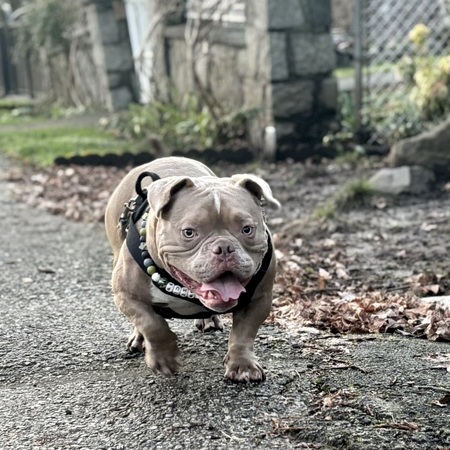 Entry image for Push Up. Clicking this image will show a larger photo