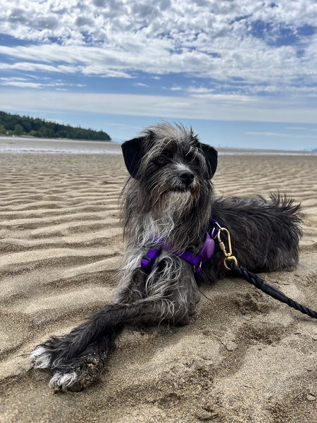 Entry image for Chet Ripley. Clicking this image will show a larger photo