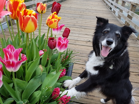 Entry image for REMELY BORSOFF. Clicking this image will show a larger photo